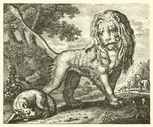 The fox and the lion