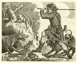 The Fox and the Wolf (engraving) by English School