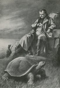 The Giant Tortoise That Saw Napoleon