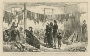 The Great Disaster on the Thames