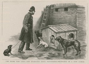 The Home for Lost and Starving Dogs by English School
