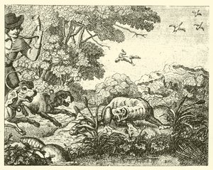 The Hunted Beaver by English School