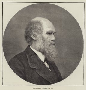 The late Mr C R Darwin, FRS, LLD by English School