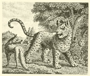 The leopard and the fox by English School