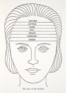 The Lines of the Forehead