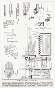 The mechanism and arrangement of the organ by English School