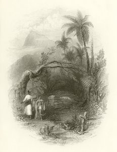 The Missionary
