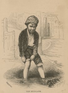 The Mud-Lark