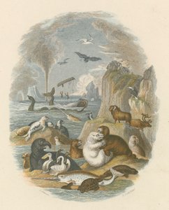 The natural world