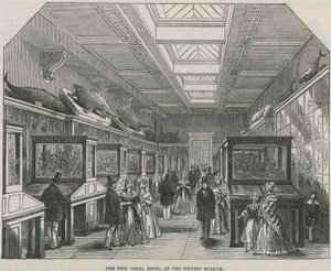 The New Coral Room at the British Museum by English School