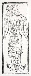 The Parts of the Body Which Control Each Zodiac Sign by English School
