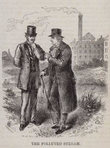 The polluted stream - farmer vs industrialist by English School