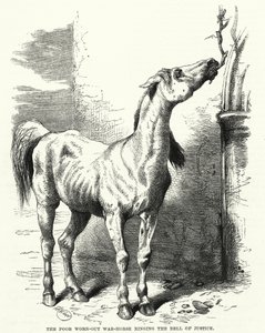 The poor worn-out war-horse ringing the bell of justice by English School