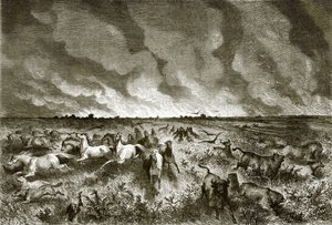 The Prairie on Fire