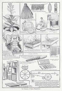 The Processes of Tobacco Manufacture by English School