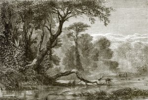 The river Phasis by English School