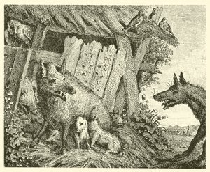 The Sow and the Wolf
