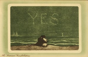 The summer constellations: lovers on a beach at night looking at the stars by English School