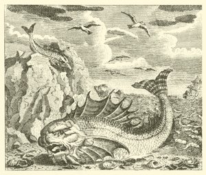 The Tunny and the Dolphin by English School