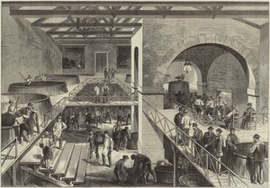 The Vintage of Medoc by English School