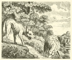 The wolf and the lamb by English School