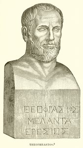 Theophrastus by English School