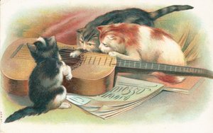 Three Cats Playing with an Acoustic Guitar