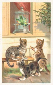 Three Cats Sitting Below a Window by English School
