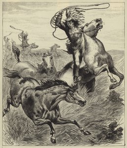 Throwing the lasso