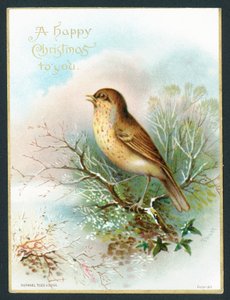 Thrush
