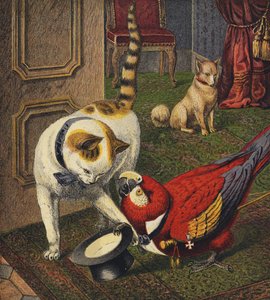 Tittums and Fido