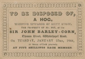 To Be Disposed Of, a Hog by English School