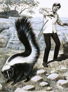 Tooth and Claw: The Skunk