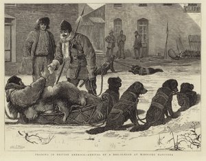 Trading in British America - Arrival of a Dog Sleigh at Winnipeg Manitoba by English School