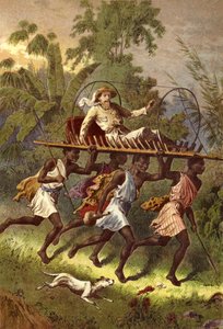 Travelling on a litter