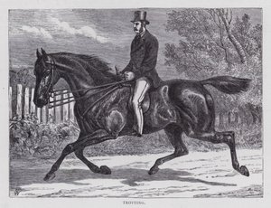 Trotting by English School