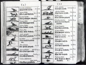 Two pages from Orbis Sensualium Pictus by Comenius, 1659