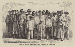 Types of Chinese Immigrants, Free Labourers at Guadeloupe