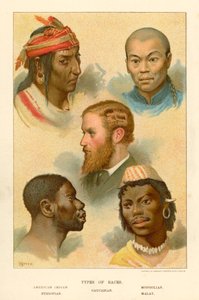 Types of Races