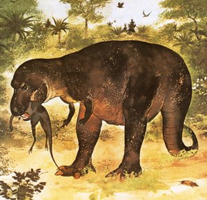 Tyrannosaurus eating a Struthiomimus
