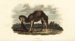 Unknown Image