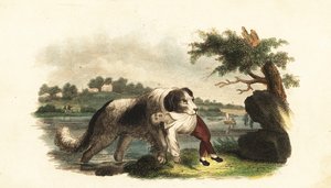 Unknown Image
