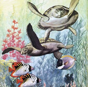 Undersea World