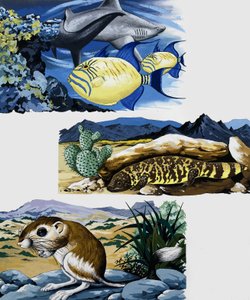 Underwater Creatures and Mouse