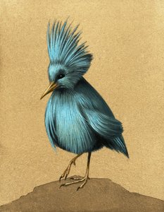Unidentified Flightless Bird by English School