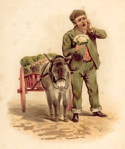 Vegetable Vendor