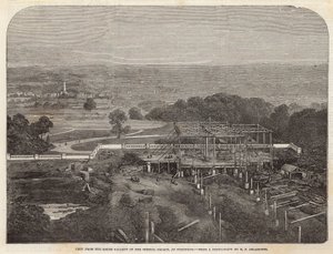 View from the South Gallery of the Crystal Palace at Sydenham