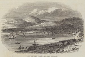 View of Port Wellington, New Zealand by English School