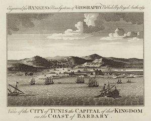 View of the City of Tunis by English School