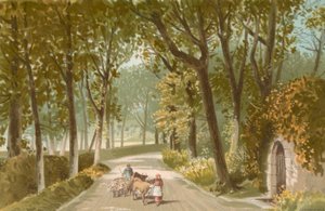 Vinchelez Lane--Jersey by English School